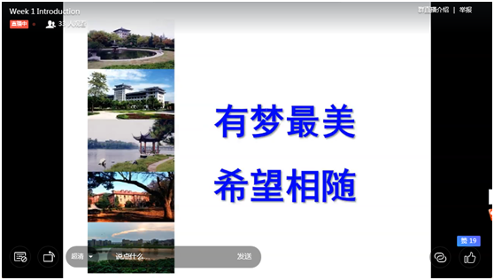 5ead13b505498.jpg 4.jpg