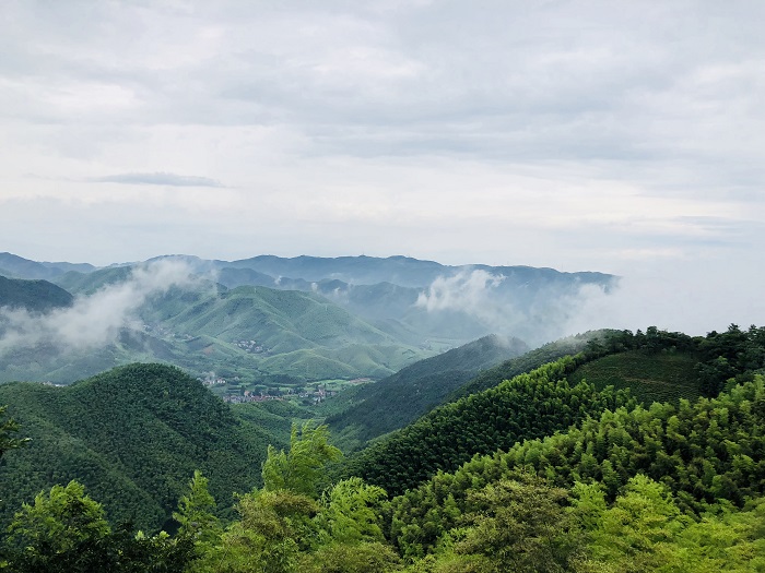 5b39dd8e305f2.jpg 001.jpg