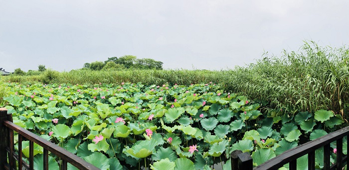 5b39ddaf3a57e.jpg 004.jpg